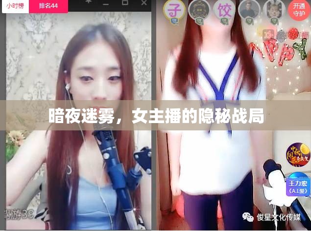 暗夜迷霧，女主播的隱秘戰(zhàn)局