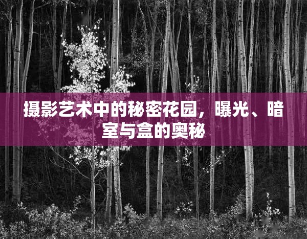 攝影藝術(shù)中的秘密花園，曝光、暗室與盒的奧秘