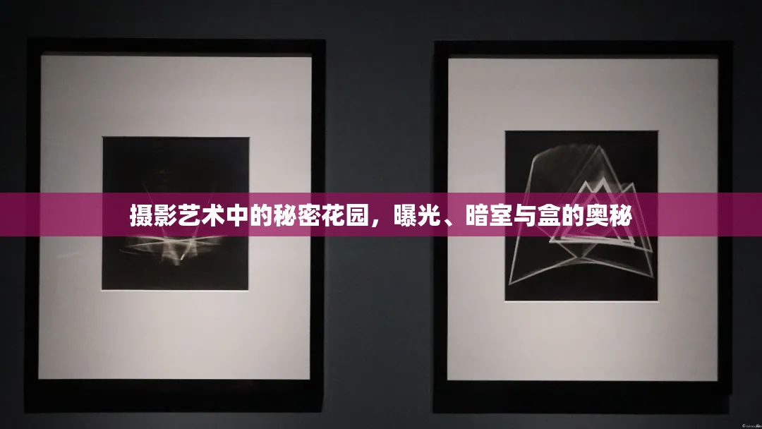 攝影藝術(shù)中的秘密花園，曝光、暗室與盒的奧秘