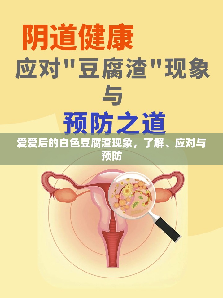 愛(ài)愛(ài)后的白色豆腐渣現(xiàn)象，了解、應(yīng)對(duì)與預(yù)防