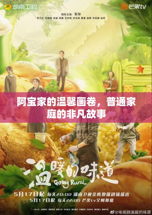 阿寶家的溫馨畫(huà)卷，普通家庭的非凡故事