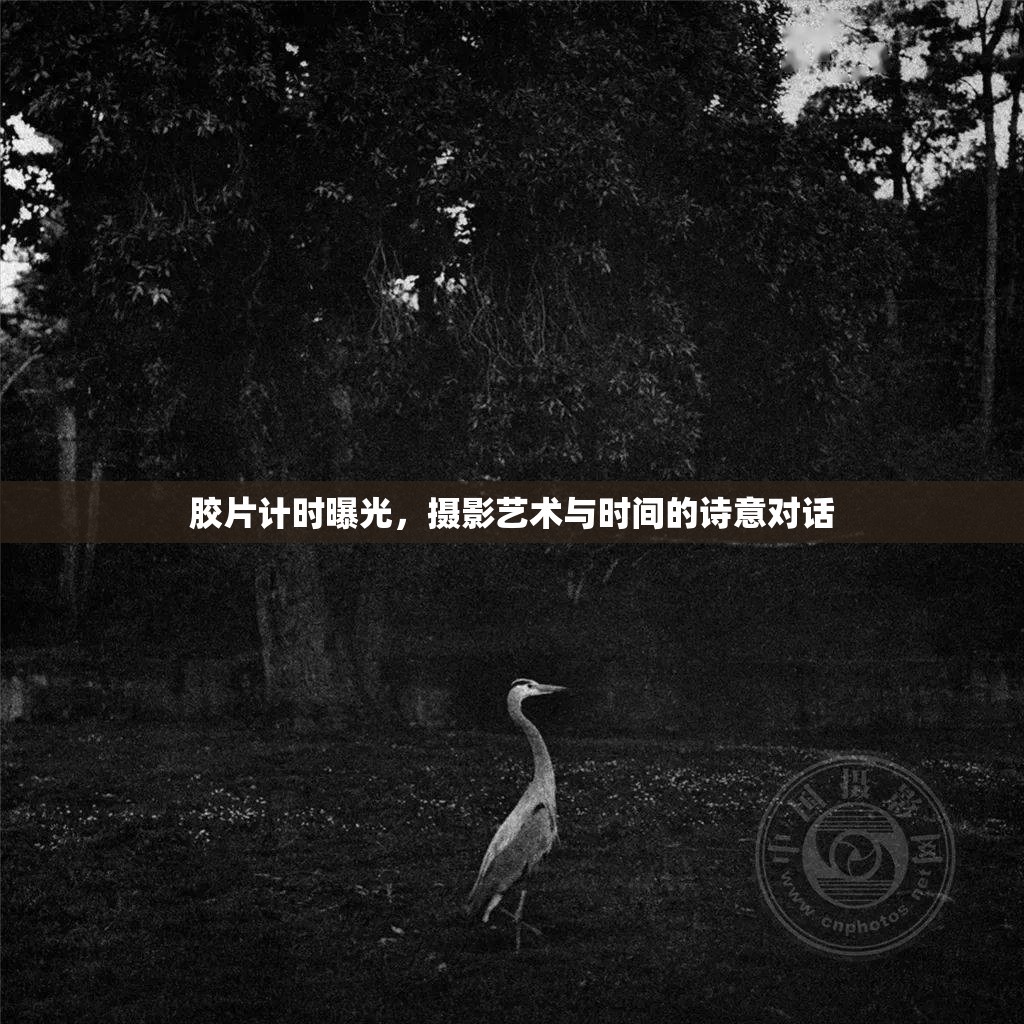 膠片計時曝光，攝影藝術(shù)與時間的詩意對話