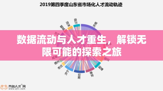 數(shù)據(jù)流動與人才重生，解鎖無限可能的探索之旅