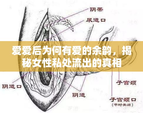 愛愛后為何有愛的余韻，揭秘女性私處流出的真相