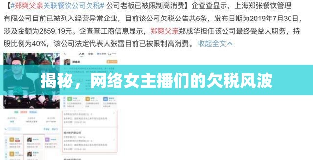 揭秘，網(wǎng)絡(luò)女主播們的欠稅風(fēng)波