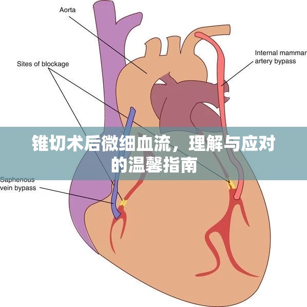 錐切術(shù)后微細血流，理解與應(yīng)對的溫馨指南