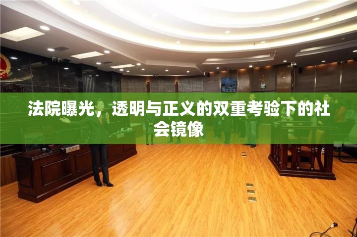 法院曝光，透明與正義的雙重考驗(yàn)下的社會(huì)鏡像