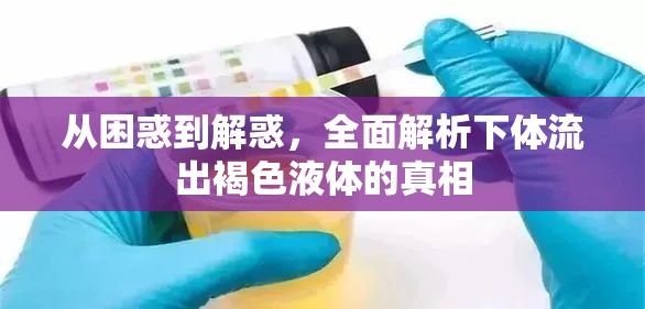 從困惑到解惑，全面解析下體流出褐色液體的真相