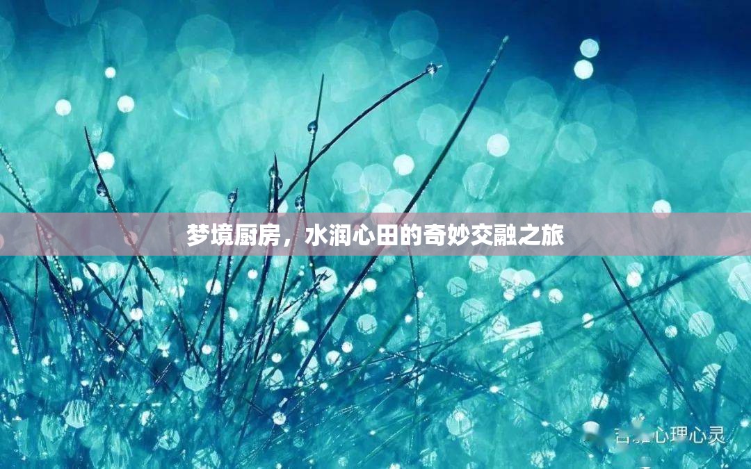 夢境廚房，水潤心田的奇妙交融之旅