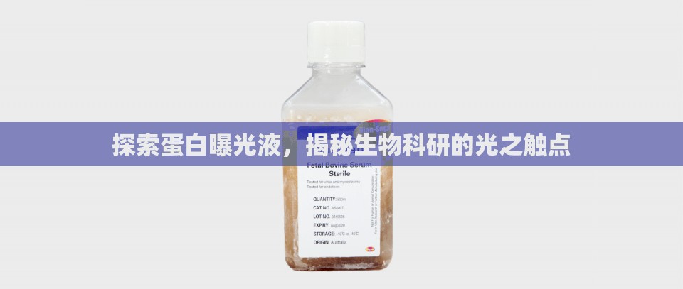 探索蛋白曝光液，揭秘生物科研的光之觸點(diǎn)