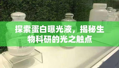 探索蛋白曝光液，揭秘生物科研的光之觸點(diǎn)