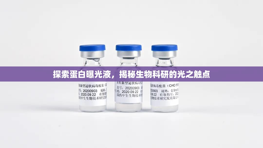 探索蛋白曝光液，揭秘生物科研的光之觸點(diǎn)