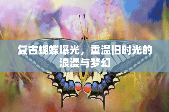 復古蝴蝶曝光，重溫舊時光的浪漫與夢幻
