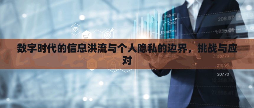 數(shù)字時代的信息洪流與個人隱私的邊界，挑戰(zhàn)與應(yīng)對