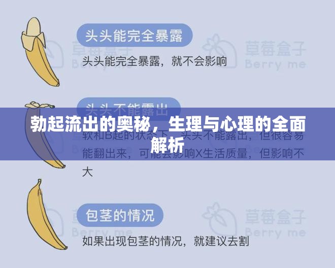 勃起流出的奧秘，生理與心理的全面解析