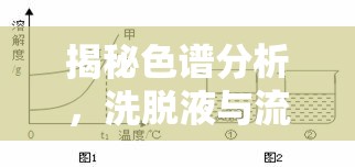 揭秘色譜分析，洗脫液與流出液的微妙關(guān)系