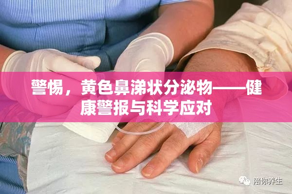 警惕，黃色鼻涕狀分泌物——健康警報與科學應對