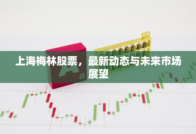 上海梅林股票，最新動(dòng)態(tài)與未來(lái)市場(chǎng)展望