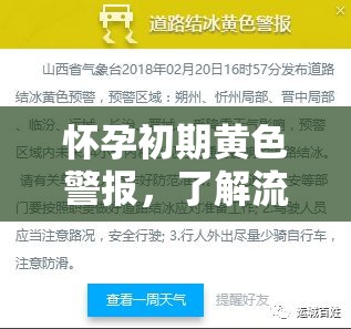 懷孕初期黃色警報(bào)，了解流出黃色液體的原因與應(yīng)對(duì)策略
