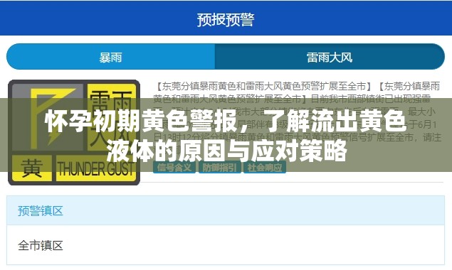 懷孕初期黃色警報(bào)，了解流出黃色液體的原因與應(yīng)對(duì)策略