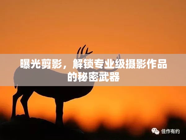 曝光剪影，解鎖專業(yè)級攝影作品的秘密武器