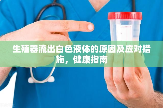 生殖器流出白色液體的原因及應(yīng)對(duì)措施，健康指南