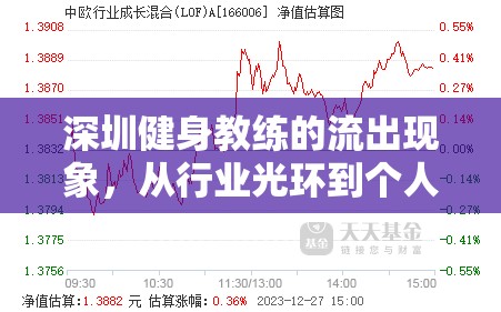 深圳健身教練的流出現(xiàn)象，從行業(yè)光環(huán)到個人成長的深度剖析