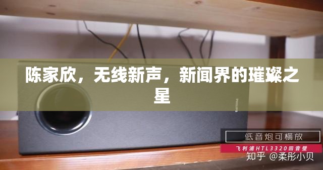 陳家欣，無(wú)線新聲，新聞界的璀璨之星