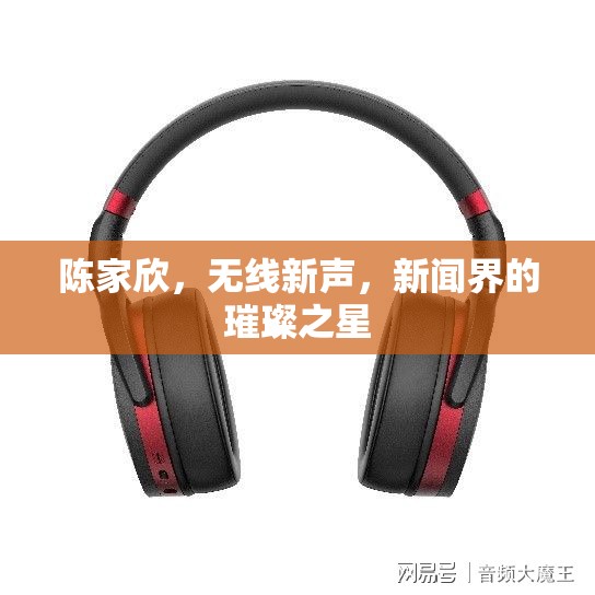 陳家欣，無(wú)線新聲，新聞界的璀璨之星