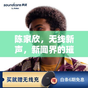 陳家欣，無(wú)線新聲，新聞界的璀璨之星