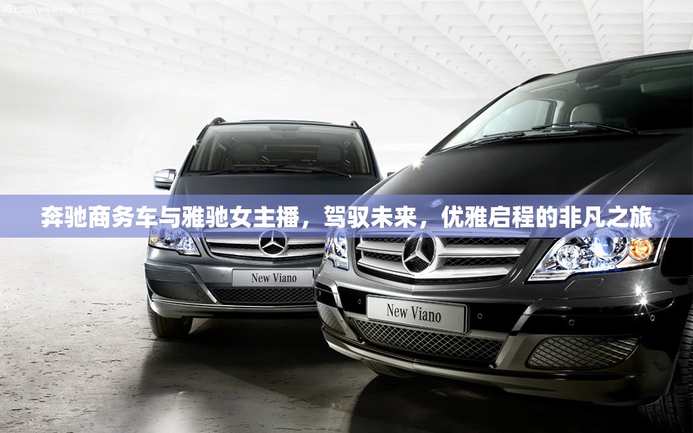 奔馳商務(wù)車與雅馳女主播，駕馭未來(lái)，優(yōu)雅啟程的非凡之旅