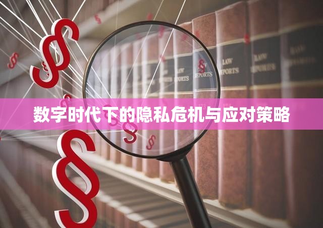 數(shù)字時代下的隱私危機與應(yīng)對策略