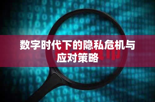 數(shù)字時代下的隱私危機與應(yīng)對策略
