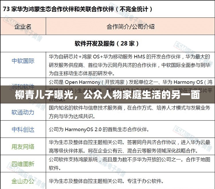 柳青兒子曝光，公眾人物家庭生活的另一面