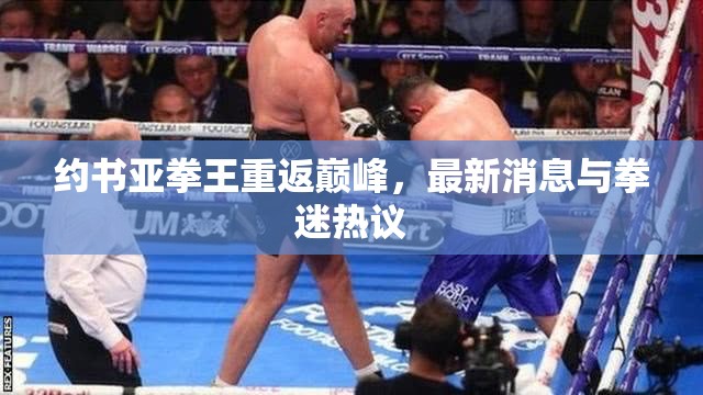 約書(shū)亞拳王重返巔峰，最新消息與拳迷熱議
