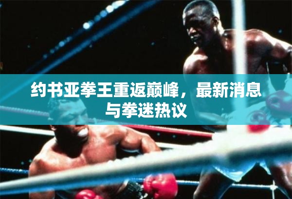 約書(shū)亞拳王重返巔峰，最新消息與拳迷熱議