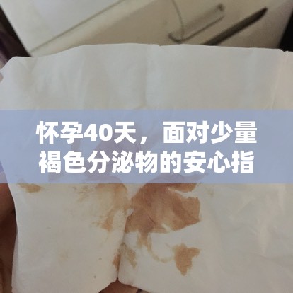 懷孕40天，面對少量褐色分泌物的安心指南