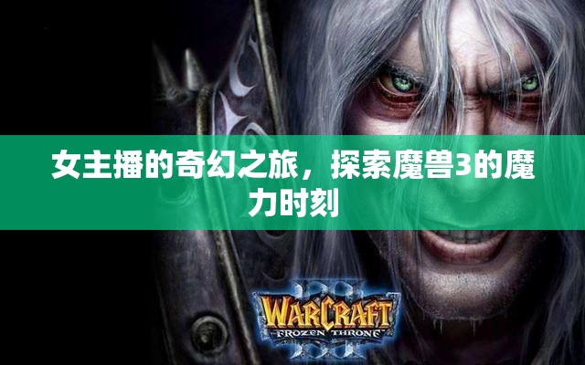 女主播的奇幻之旅，探索魔獸3的魔力時刻