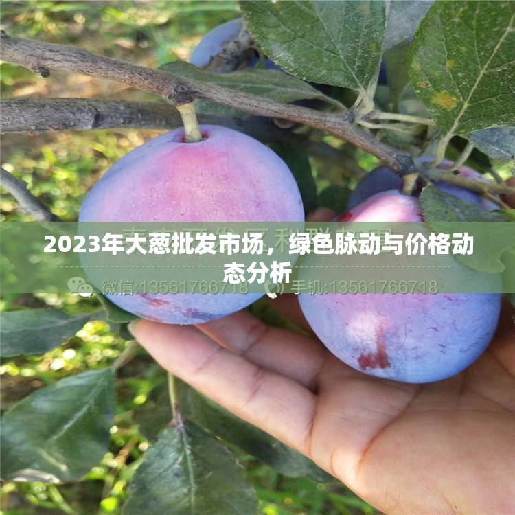 2023年大蔥批發(fā)市場，綠色脈動與價格動態(tài)分析