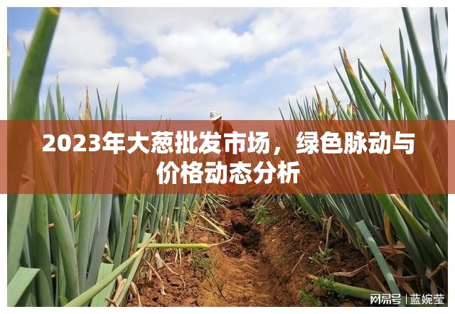 2023年大蔥批發(fā)市場，綠色脈動與價格動態(tài)分析