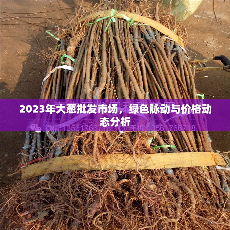 2023年大蔥批發(fā)市場，綠色脈動與價格動態(tài)分析