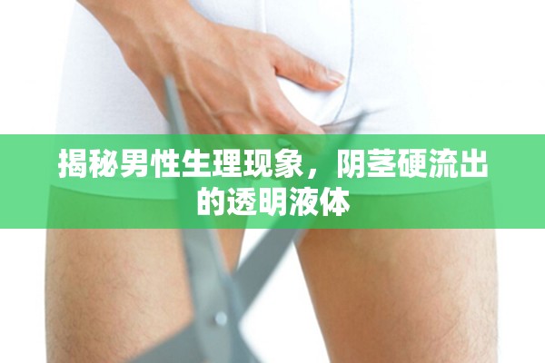 揭秘男性生理現(xiàn)象，陰莖硬流出的透明液體