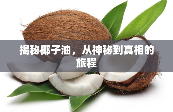 揭秘椰子油，從神秘到真相的旅程