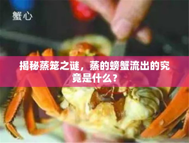 揭秘蒸籠之謎，蒸的螃蟹流出的究竟是什么？