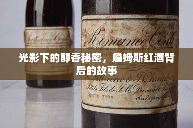 光影下的醇香秘密，詹姆斯紅酒背后的故事