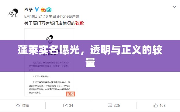 蓬萊實名曝光，透明與正義的較量