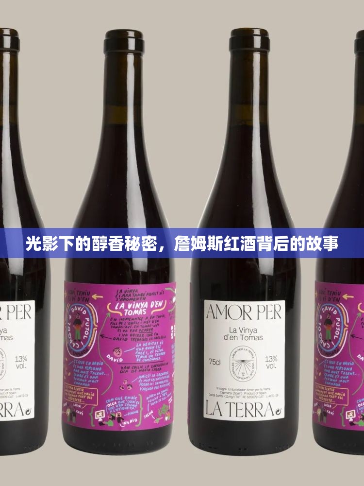 光影下的醇香秘密，詹姆斯紅酒背后的故事