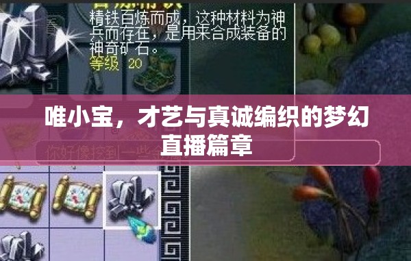 唯小寶，才藝與真誠編織的夢幻直播篇章