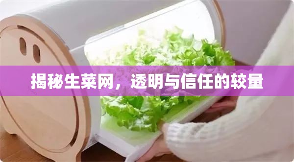 揭秘生菜網(wǎng)，透明與信任的較量