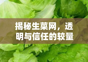 揭秘生菜網(wǎng)，透明與信任的較量